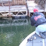 Shooting jigs under docks for crappie