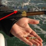 Use a planer board to get a small bait down deep