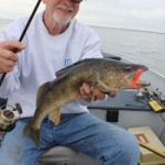 Walleye caught snap jigging