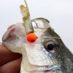 This jig will catch crappie