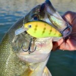 Catch bass offshore on crankbaits in Kentucky