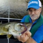 You can catch walleye like this on artificial baits