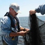 Fish were collected and studied to see what eats what