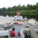 Tiger Muskie caught on a fly rod