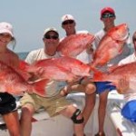 Red Snapper