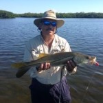 Catch snook like this one on lures