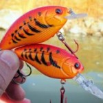 Classic Winning LIvingstone Lures